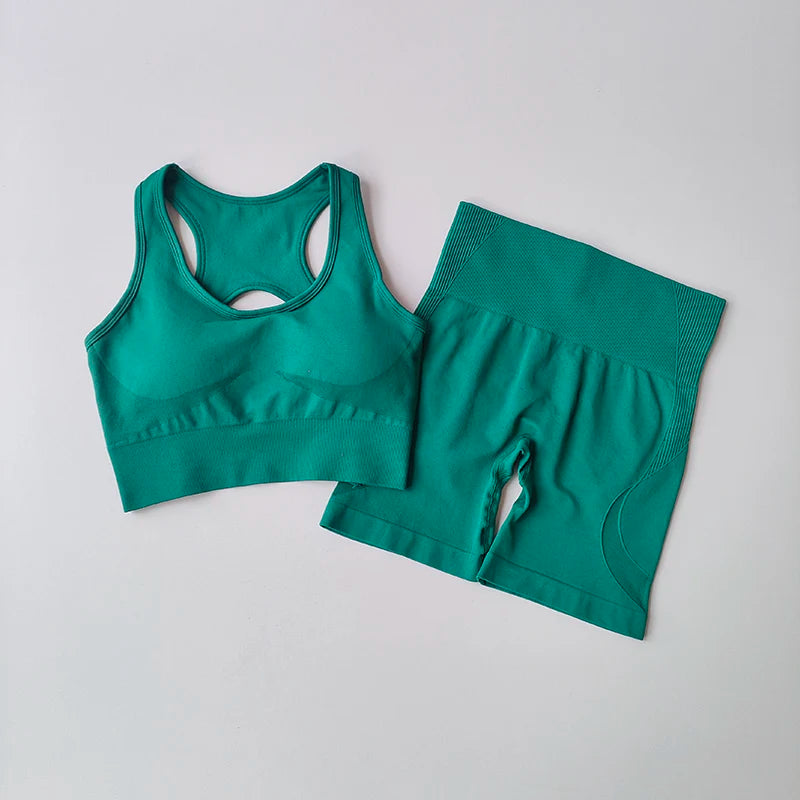 Elevate Your Workout with Our Women's 2-Piece Seamless Yoga Set - High-Waisted Shorts & Sleeveless Sports Bra