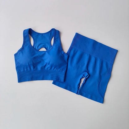 Elevate Your Workout with Our Women's 2-Piece Seamless Yoga Set - High-Waisted Shorts & Sleeveless Sports Bra