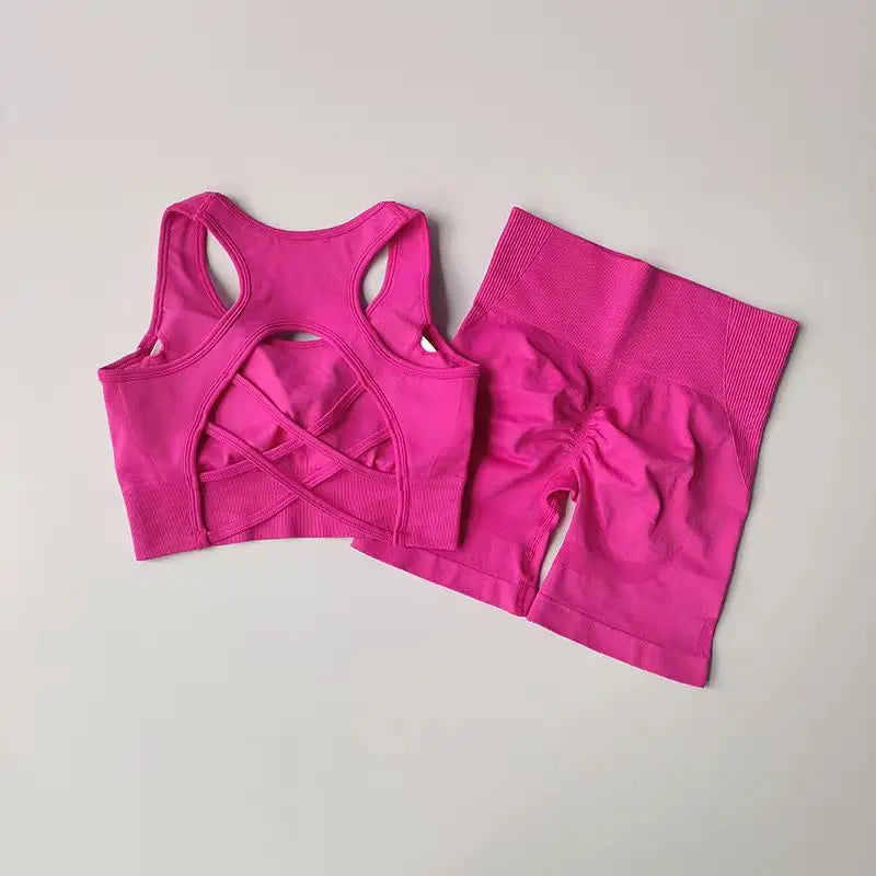 Elevate Your Workout with Our Women's 2-Piece Seamless Yoga Set - High-Waisted Shorts & Sleeveless Sports Bra